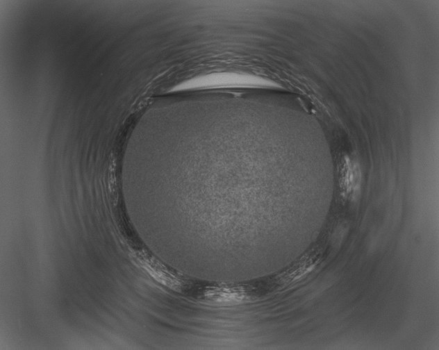 X0000084030559200702232301