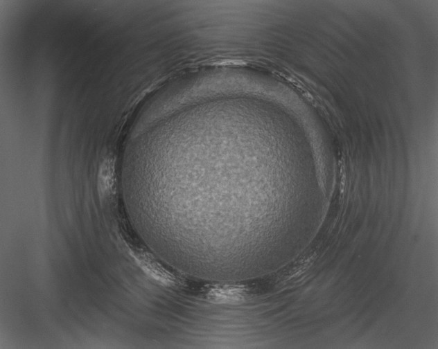 X0000084030560200702232301