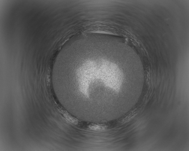 X0000084030561200702232301