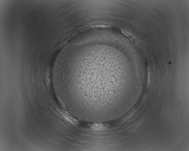 X0000084030562200702232301