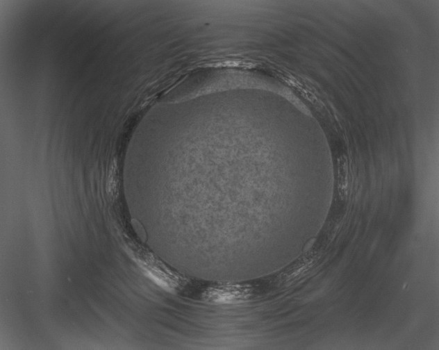 X0000084030563200702232301