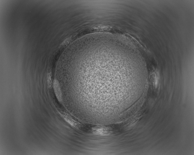 X0000084030564200702232301