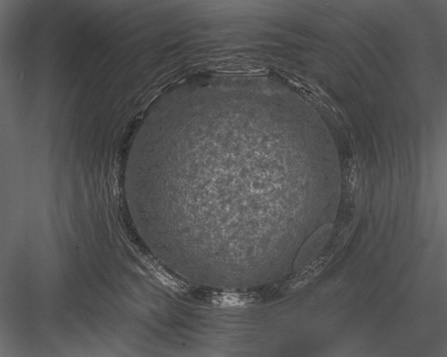 X0000084030565200702232301