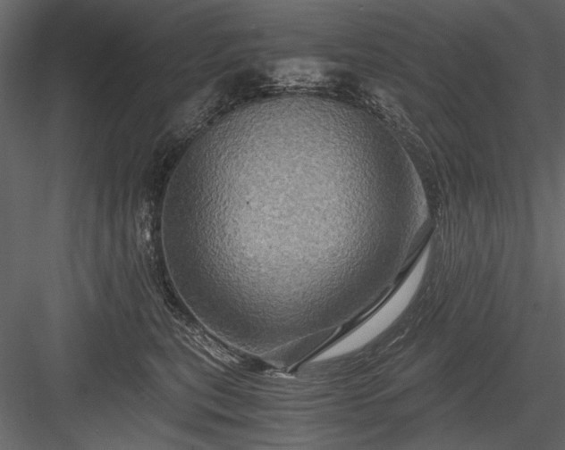 X0000084030567200702232301