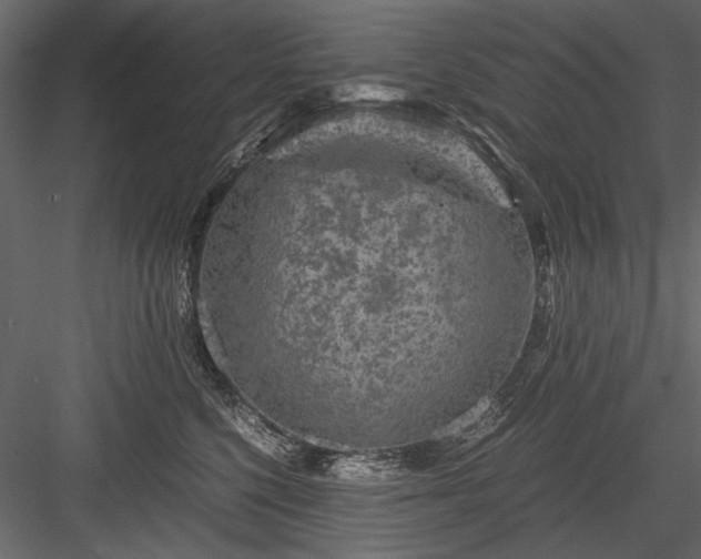 X0000084030568200702232301