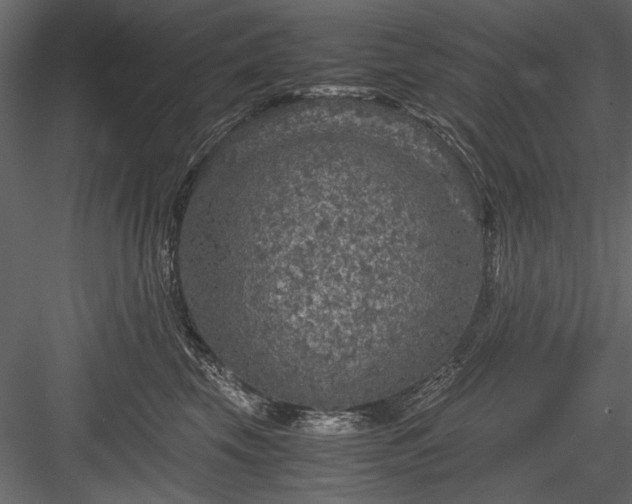 X0000084030569200702232301