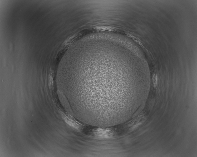 X0000084030570200702232301