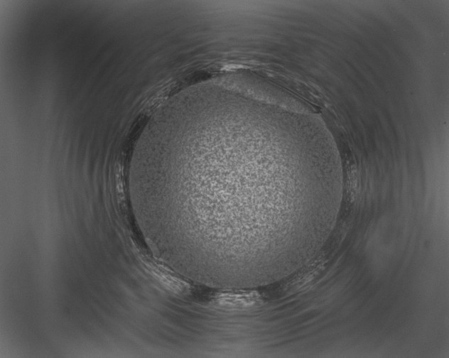 X0000084030571200702232301