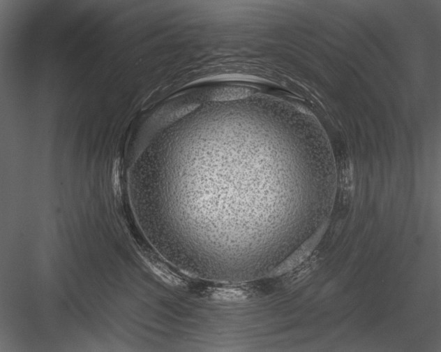 X0000084030572200702232301