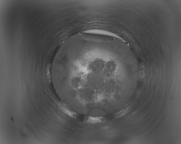 X0000084030573200702232301