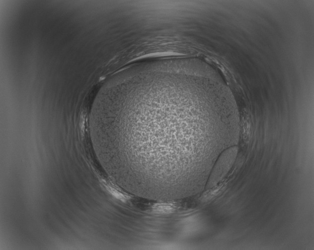 X0000084030574200702232301