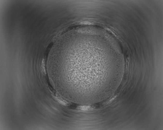 X0000084030575200702232301