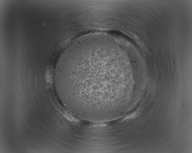 X0000084030576200702232301