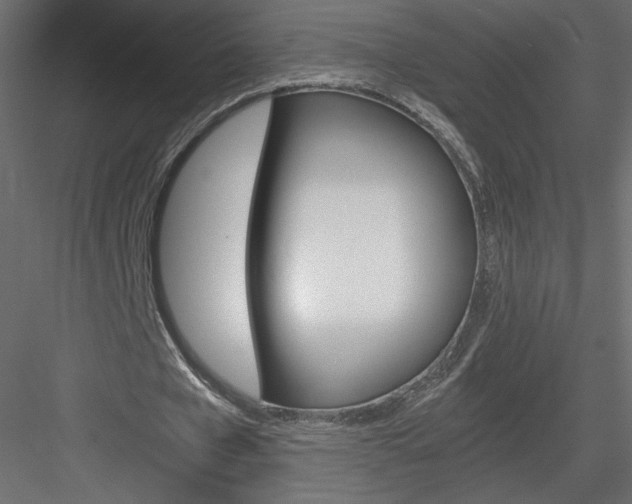 X0000084030577200702232301