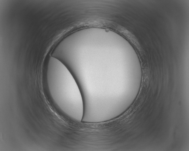 X0000084030578200702232301