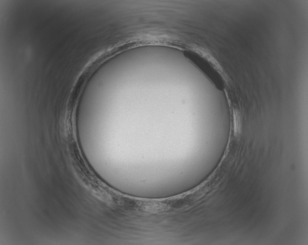 X0000084030579200702232300