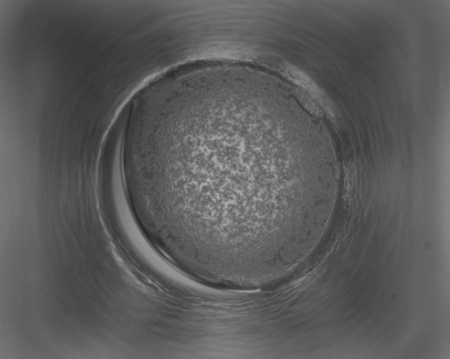 X0000084030580200702232300