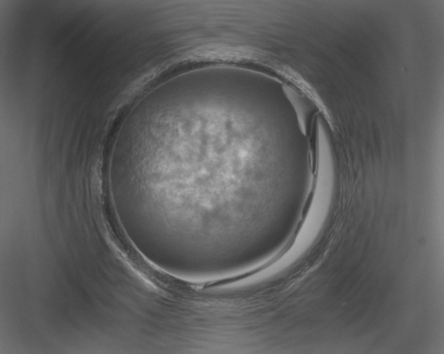 X0000084030581200702232300