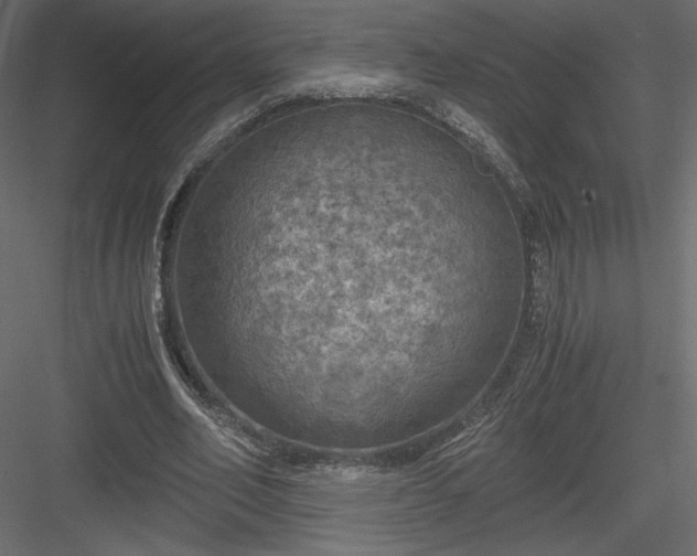 X0000084030582200702232300