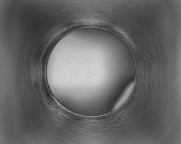 X0000084030583200702232300