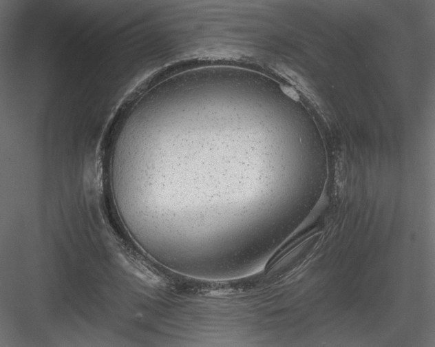 X0000084030584200702232300