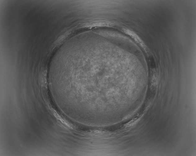 X0000084030585200702232300