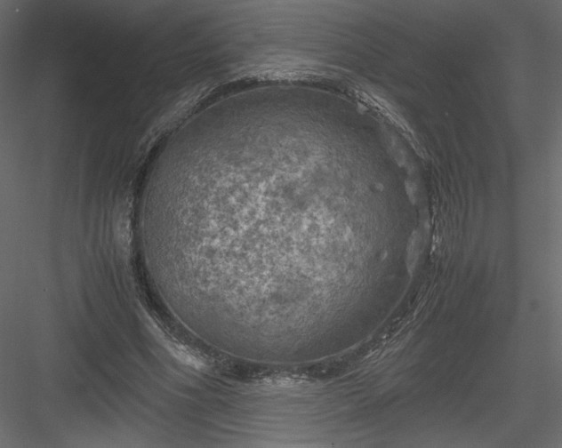 X0000084030586200702232300