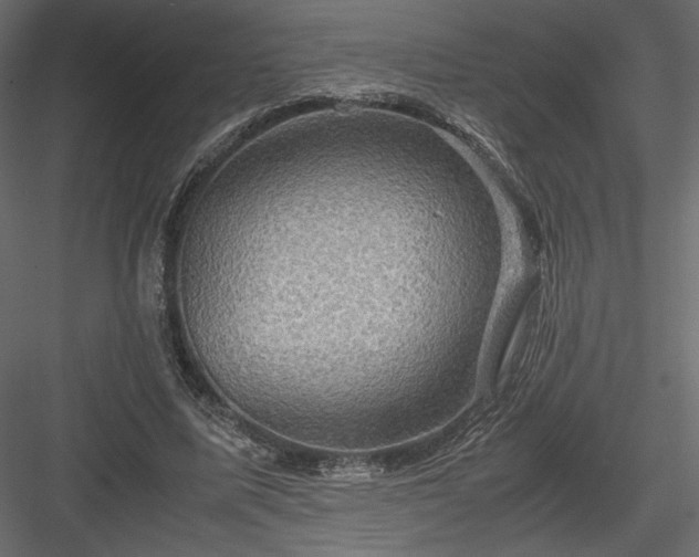 X0000084030587200702232300