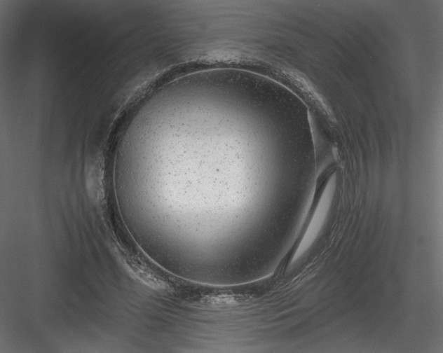 X0000084030588200702232300