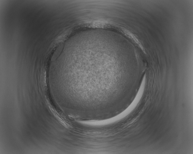 X0000084030589200702232300