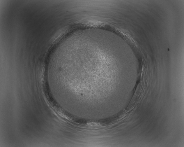 X0000084030591200702232300