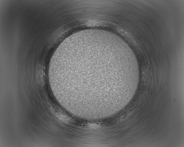 X0000084030592200702232300