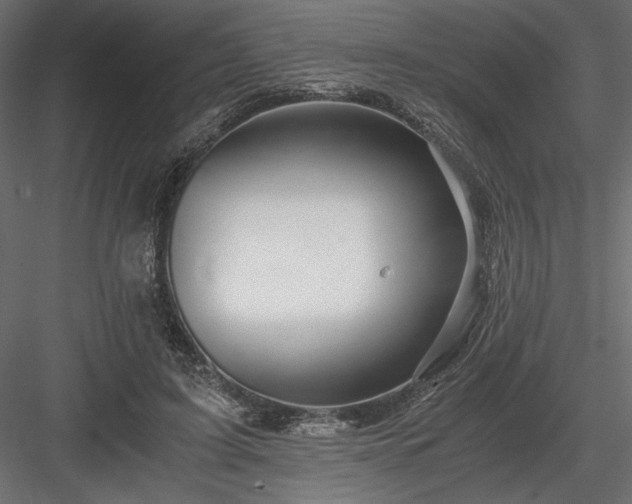 X0000084030595200702232300