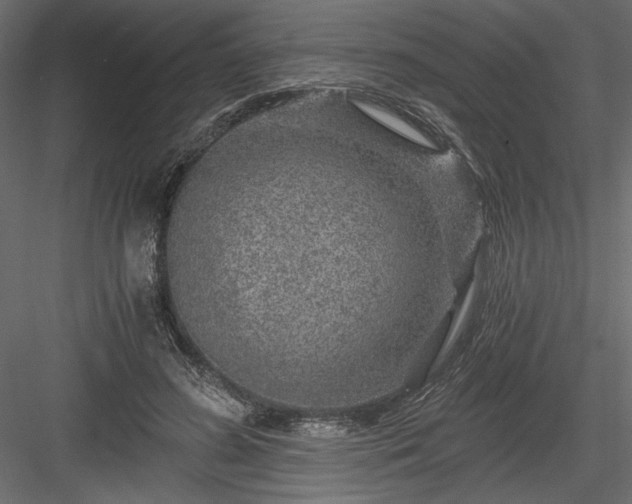 X0000084030596200702232300