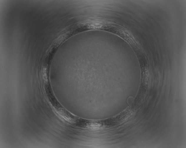 X0000084030598200702232300