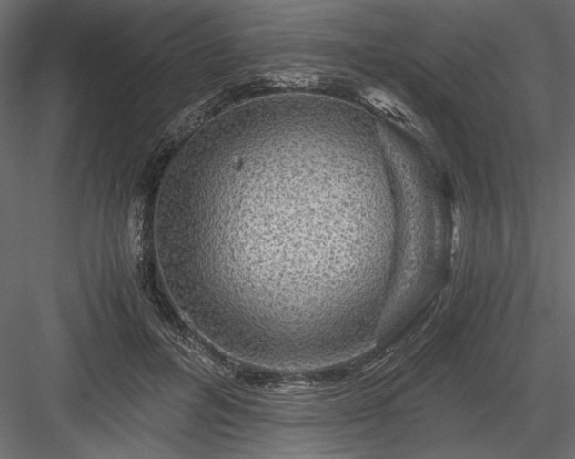 X0000084030600200702232300