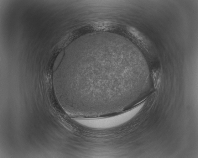 X0000084030601200702232300