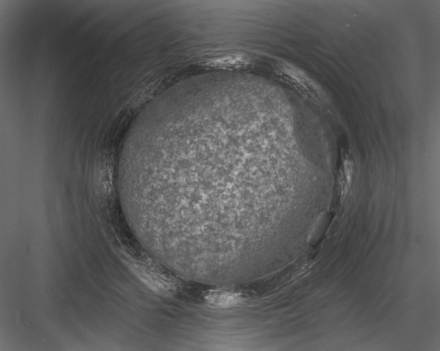 X0000084030602200702232300