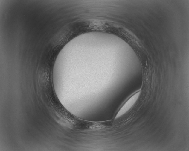 X0000084030603200702232300