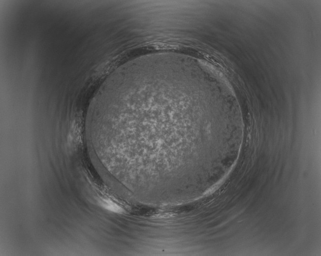 X0000084030604200702232300