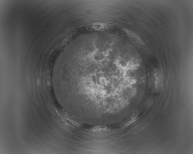 X0000084030606200702232300