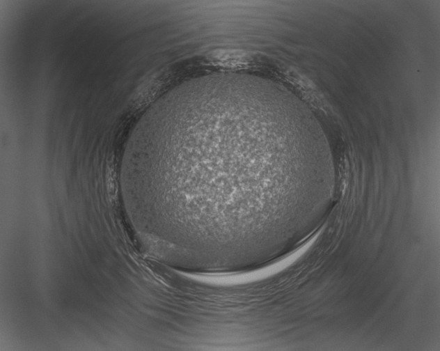 X0000084030609200702232300