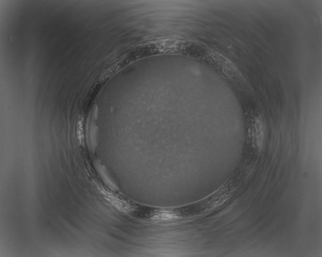 X0000084030610200702232300