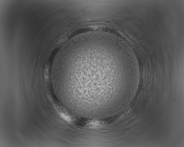 X0000084030611200702232300