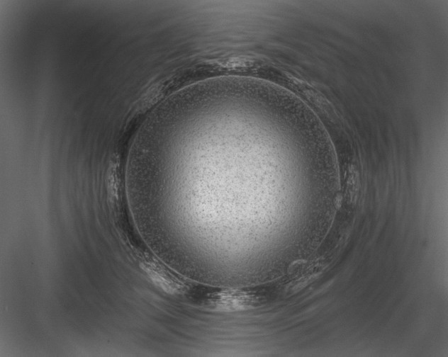 X0000084030612200702232300