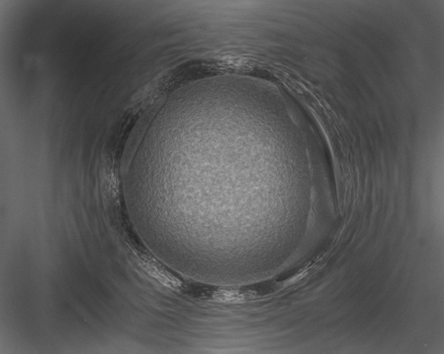 X0000084030613200702232300