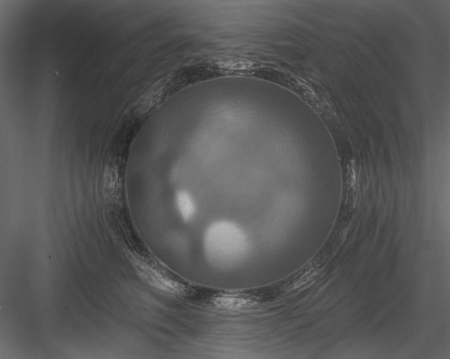 X0000084030614200702232300