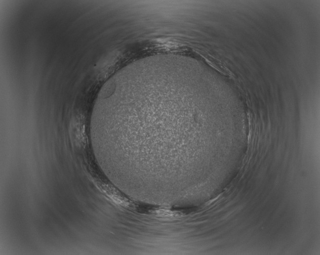 X0000084030615200702232300