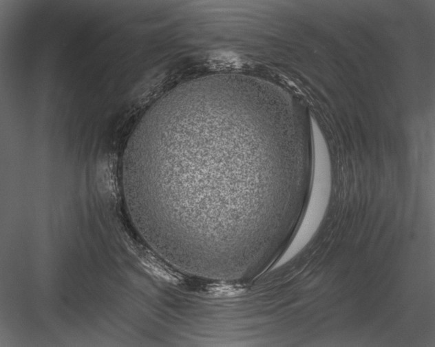 X0000084030616200702232300