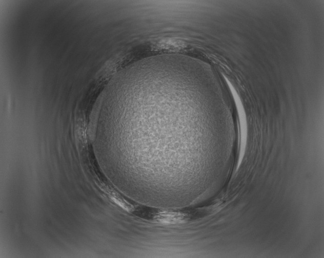 X0000084030617200702232300